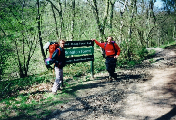 Sneaton Forest holds some nice surprises