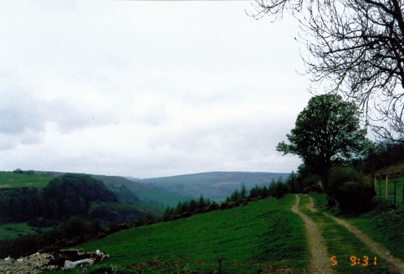 Walking from Richmond to Whitcliffe Wood