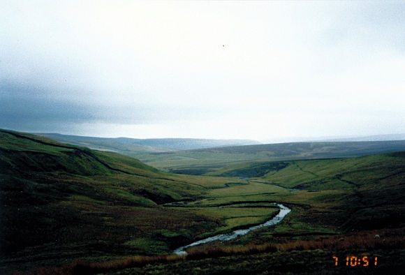 Half an hour later we're in the heart of bogland