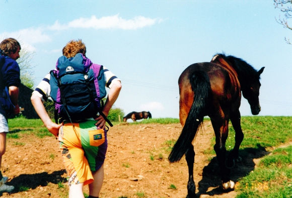 An equine guide leads us onwards from Cleator