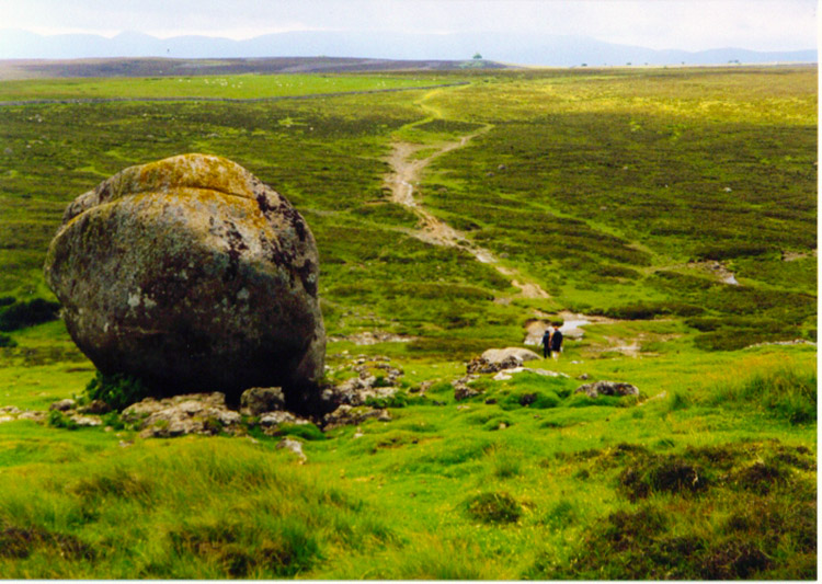 Erratic boulder on Crosby Ravensworth Fell