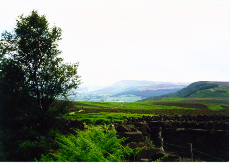 The Cleveland Hills from Scarth Wood Moor