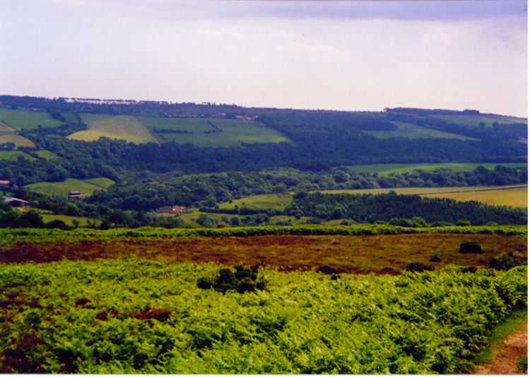 Sleights Moor