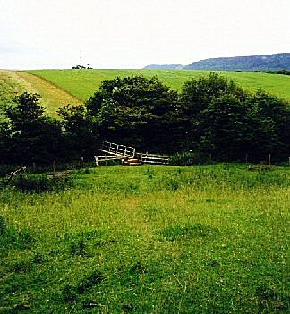 Siddle Grange