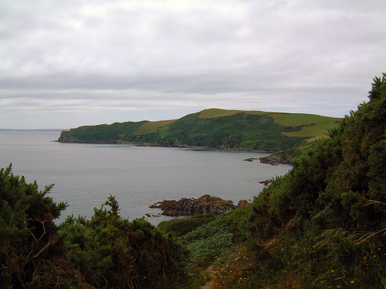 Pencarrow Head