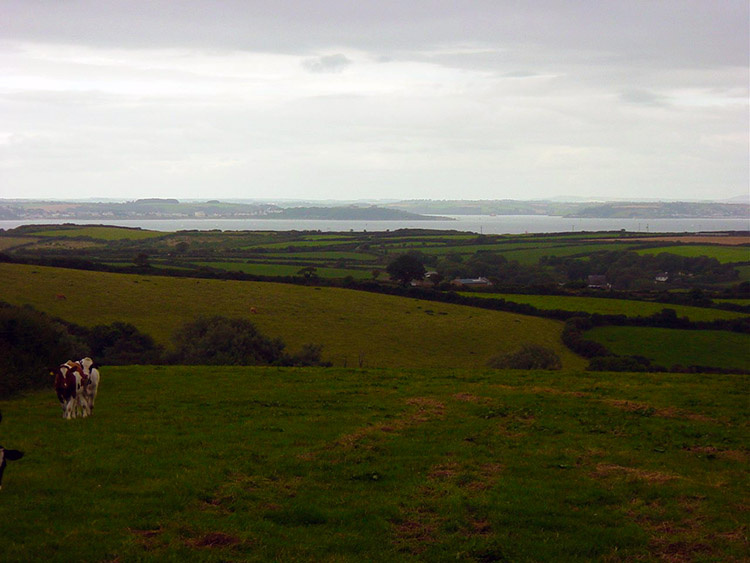 Fields near St Keverne