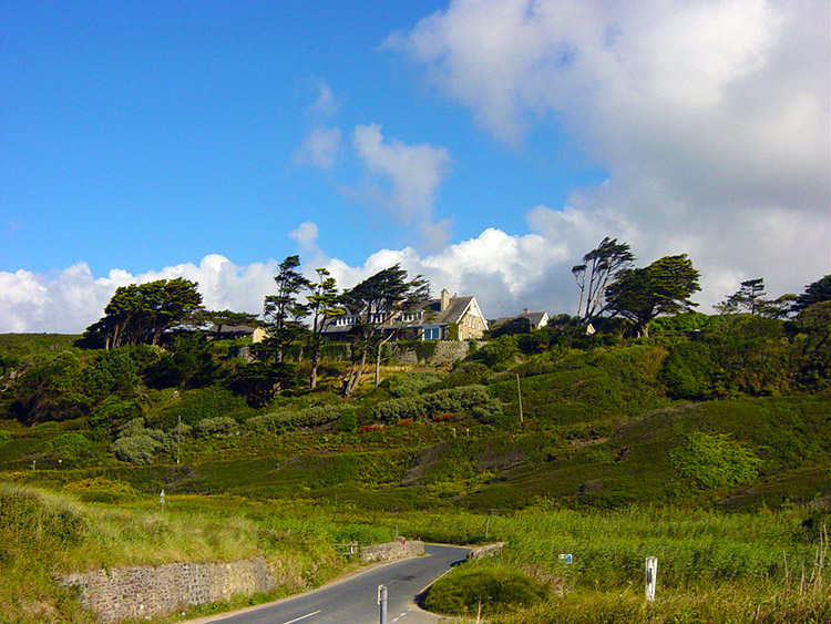 A landscape shaped by the wind