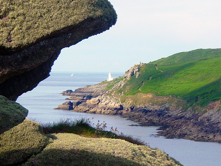 Lamorna Cove