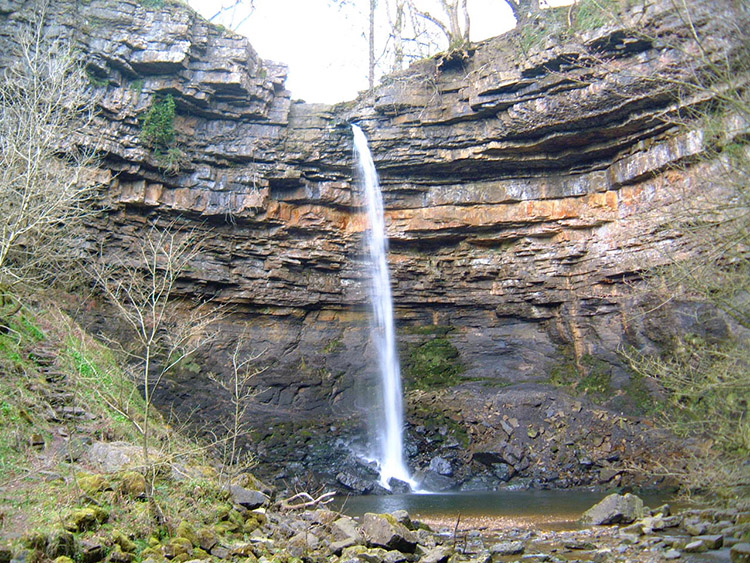 Hardraw Force