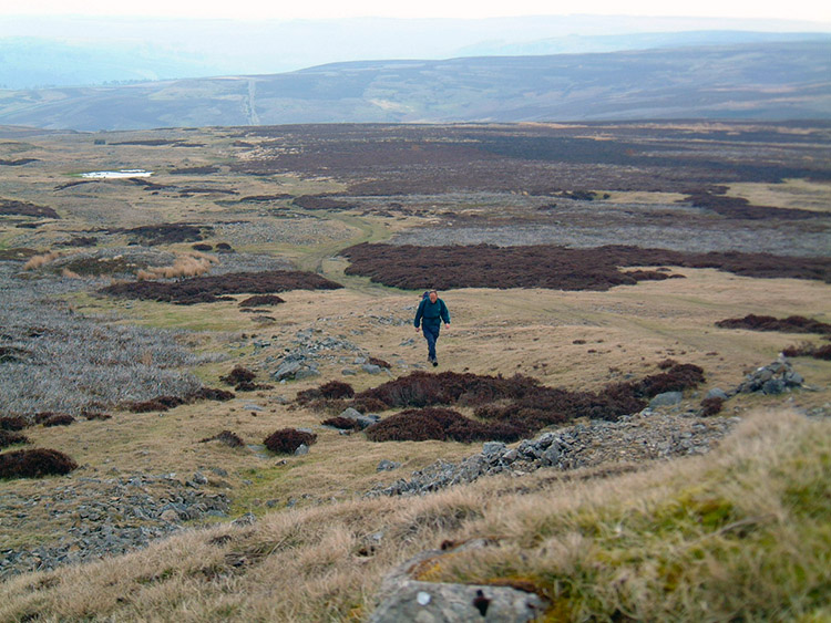 Grinton Moor