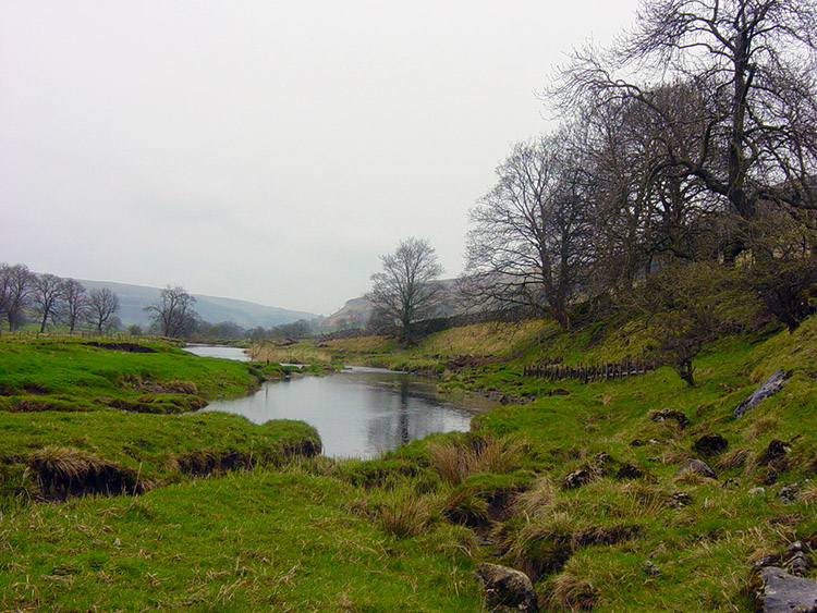 Lush landscape beside the Wharfe