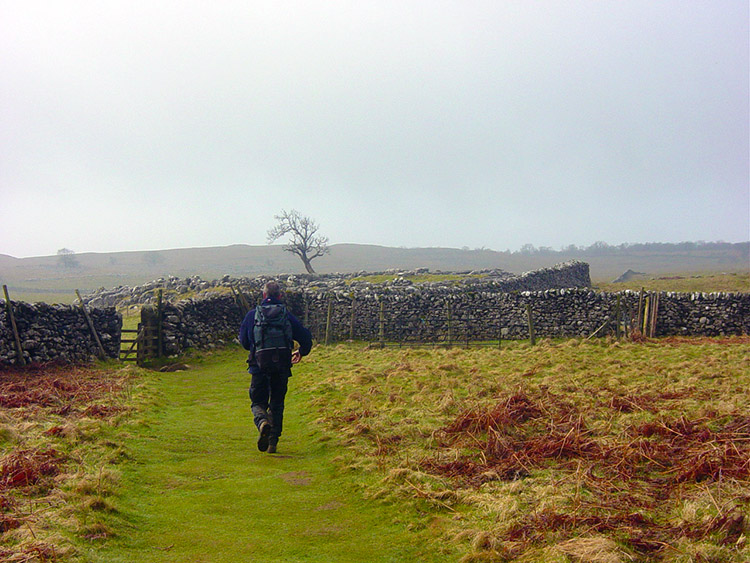 On the Dales Way between Kettlewell and Skipton