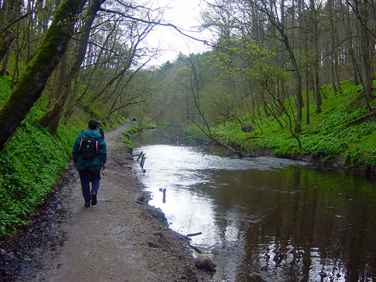 Skipton Woods