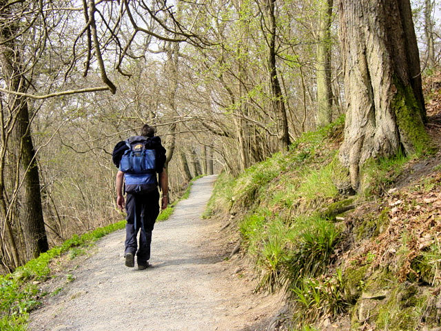 In Strid Wood