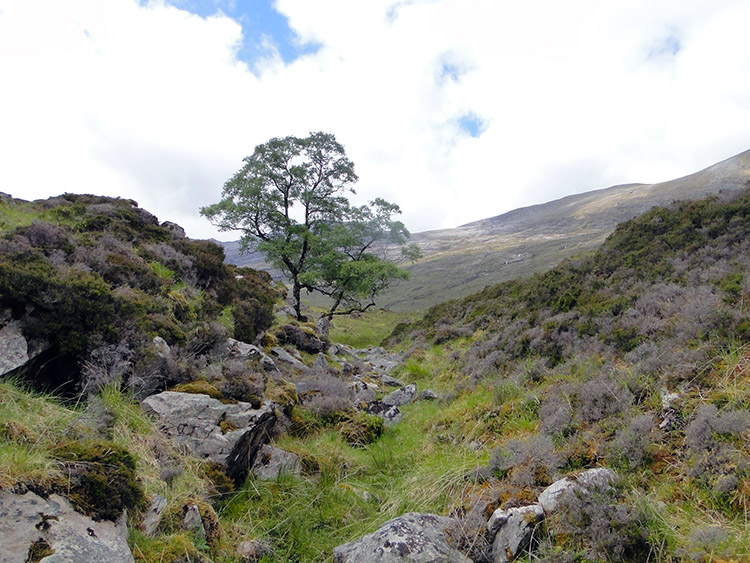 The track was indistinct at Cnoc nan Righreon