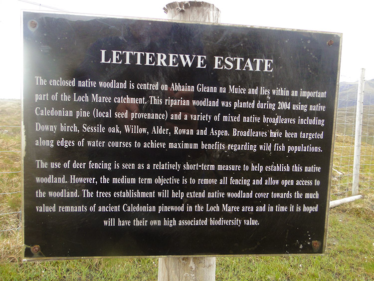 Letterewe Estate