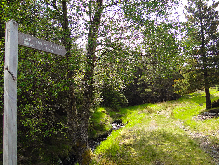 Starting to climb from River Attadale