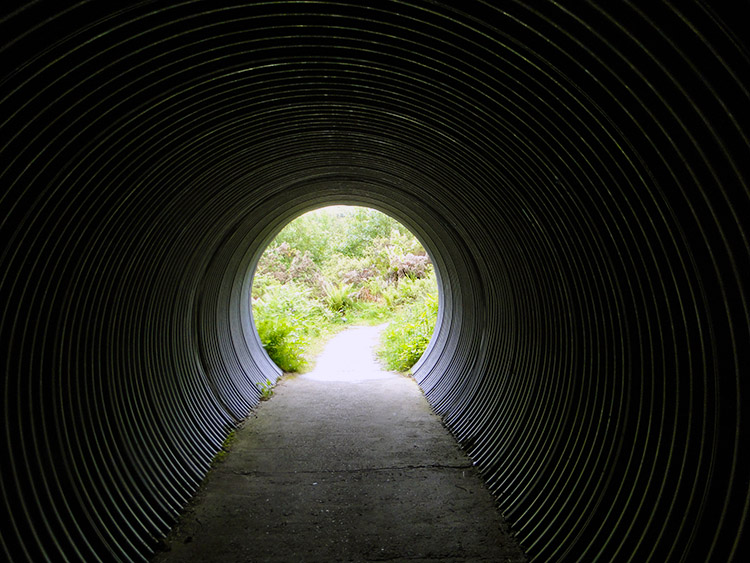 Tunnel under the A82 near Carmyle Cottage