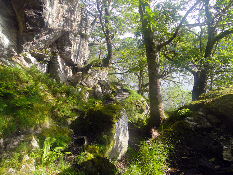 Another steep climb beside Loch Lomond