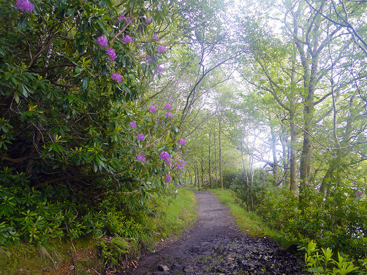 Near the Boat House at Cladachbeag