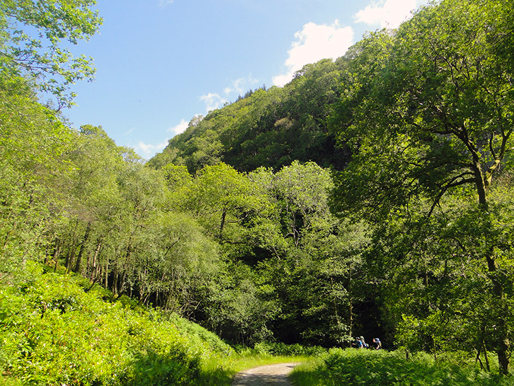 Beauty near Allt Doirean