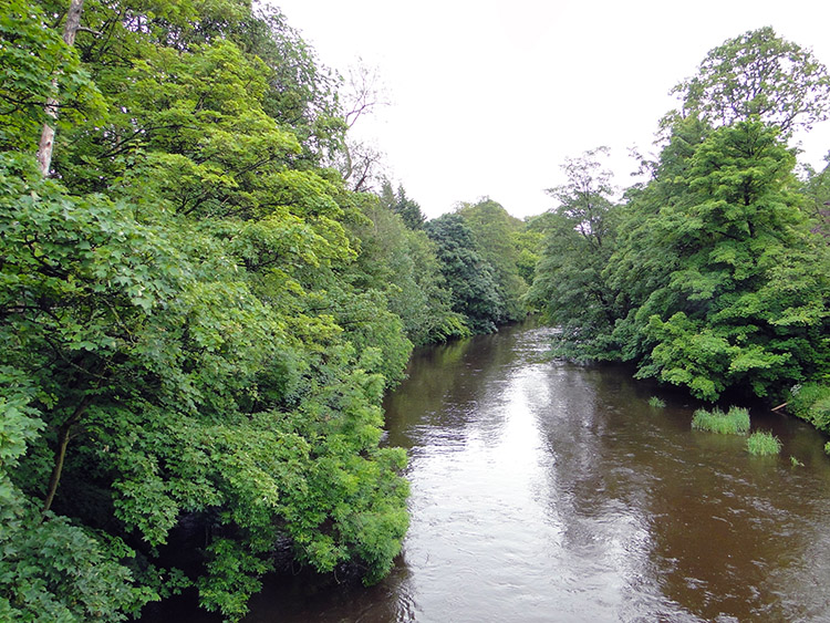 River Kelvin at Garscube Bridge