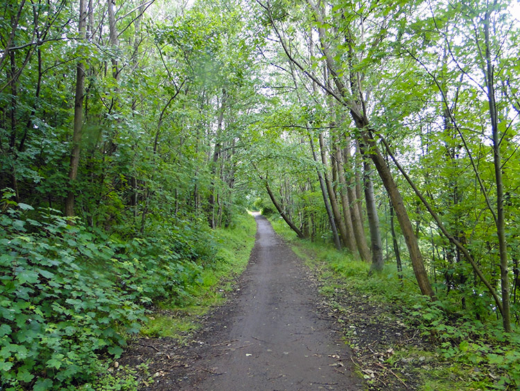 Clyde Walkway at Dalbeth