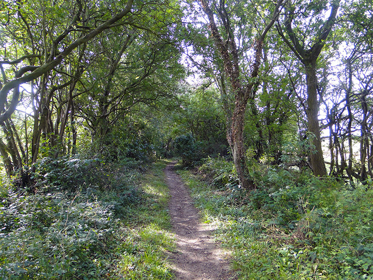 Leaving Uttoxeter by Timber Lane