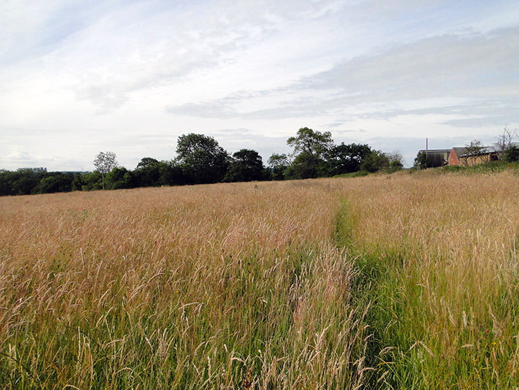 Finding the path to Scounslow Green