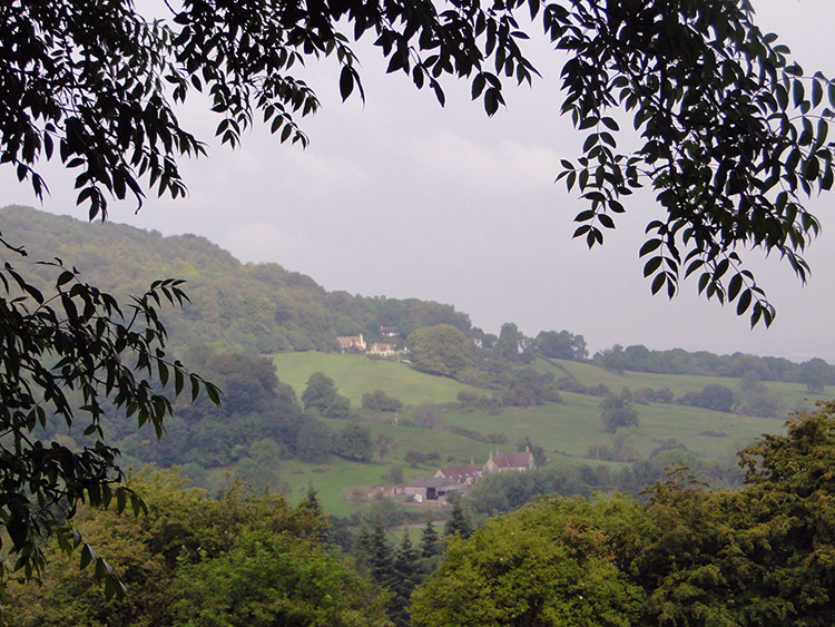 View to Witcombe Park