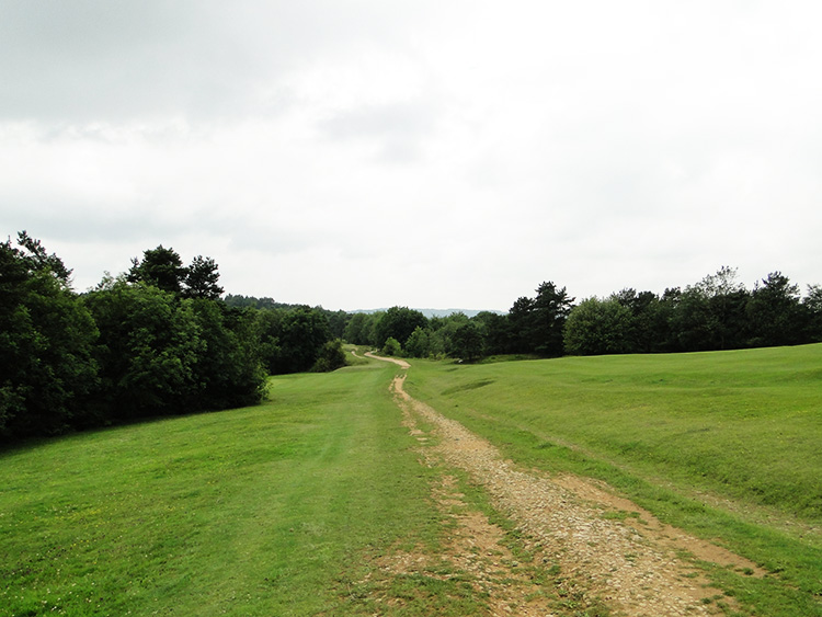 Path near Painswick Beacon