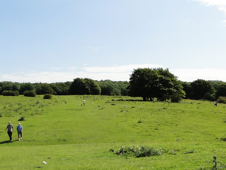 Walkers on Haresfield Hill