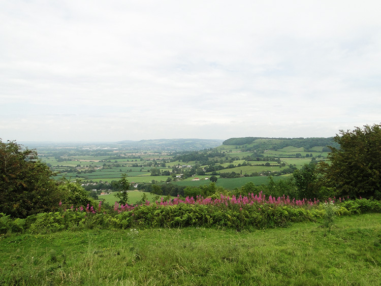 The view north from Cam Long Down