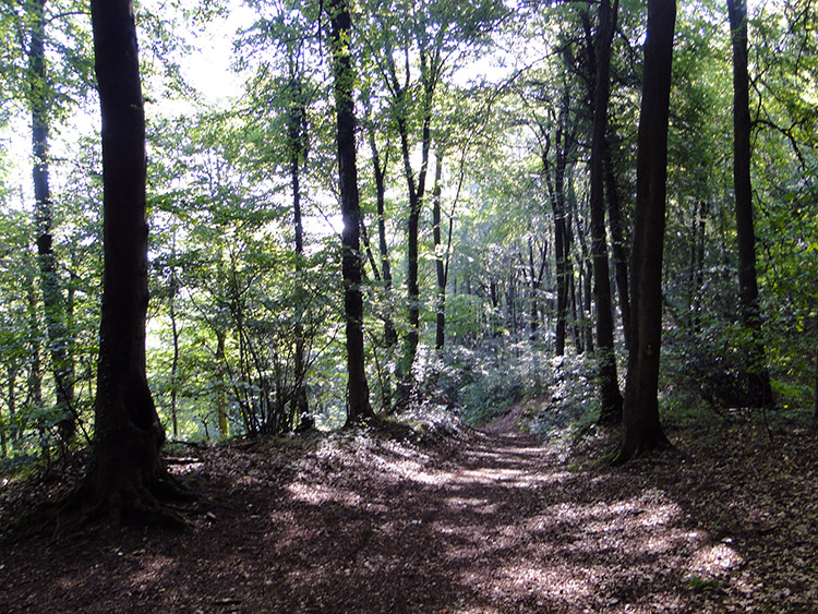 Steep climb to Stinchcombe Hill