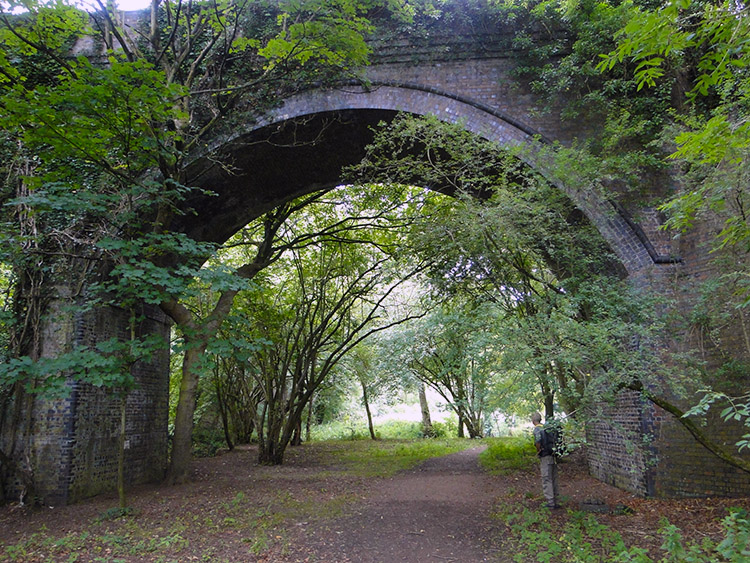 Disused Railway Bridge