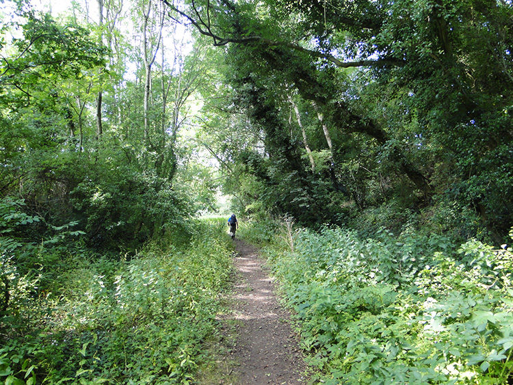 Between Camerton and Radford