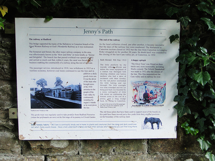 Jenny's Path