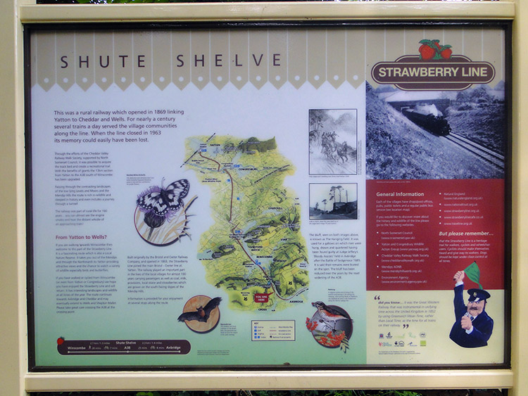 Shute Shelve on the Strawberry Line