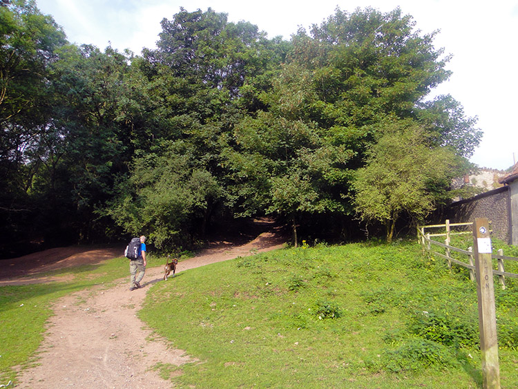 Climbing to King's Wood