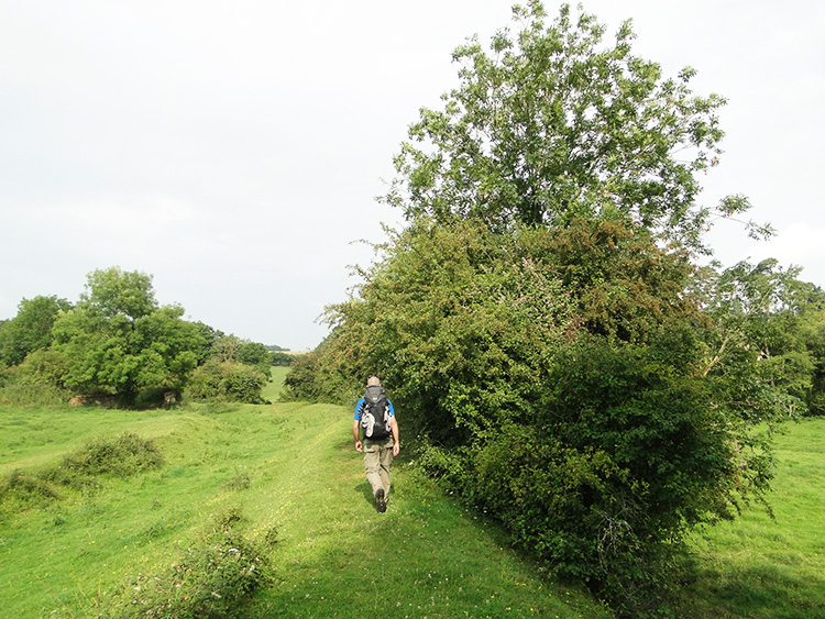 Grand Western Canal near Tone