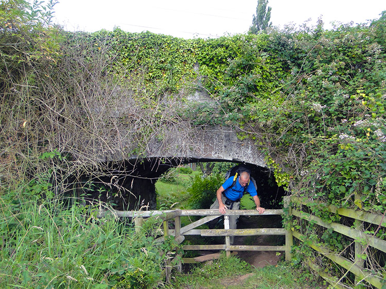 Harpford Bridge