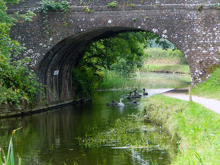 East Manley Bridge