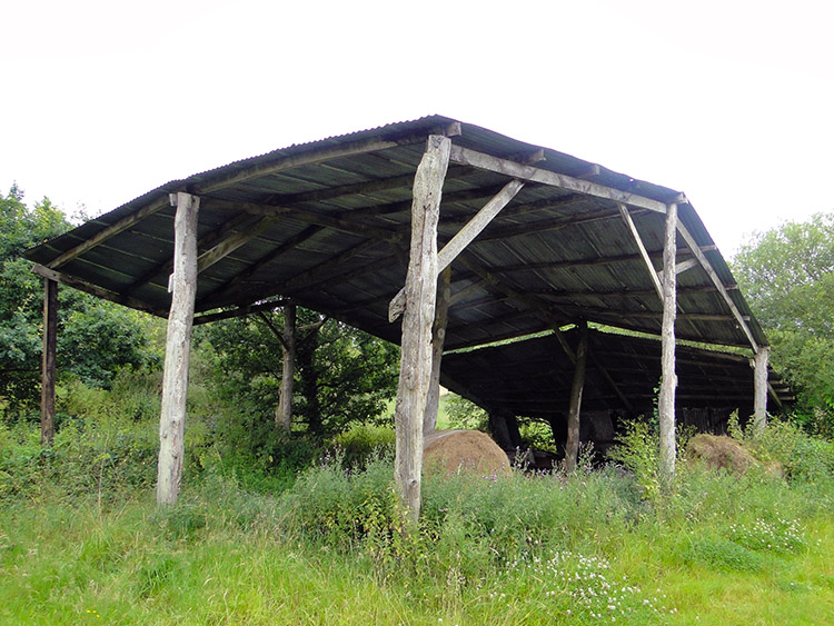 Still standing at the Old Mill