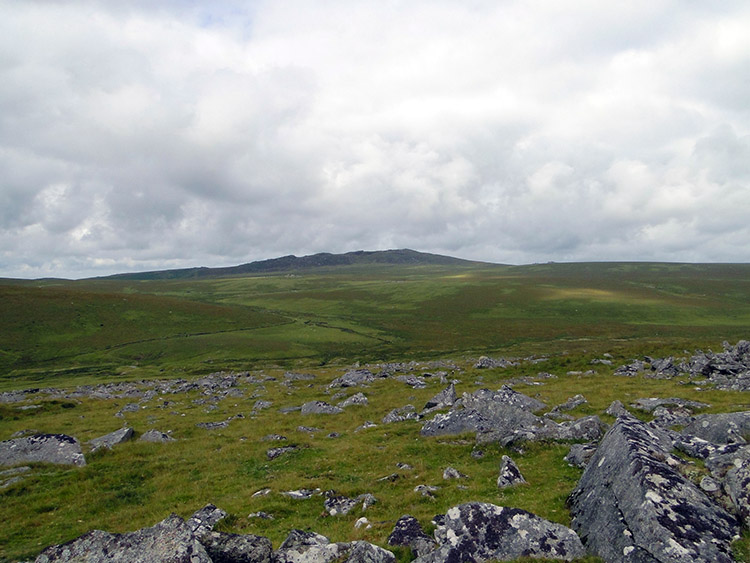 Near the source of the River Fowey