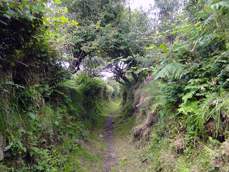 Holloway near St Breward