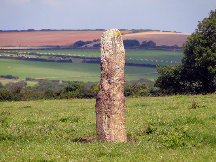 Enigma in field at Penhale