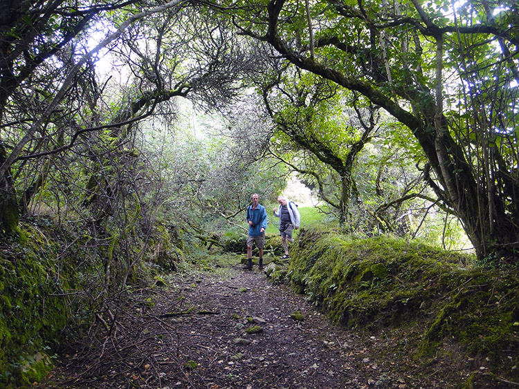 An ancient lane