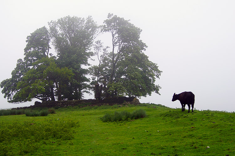 Site of Ring and Bailey Fort at Fozy Moss