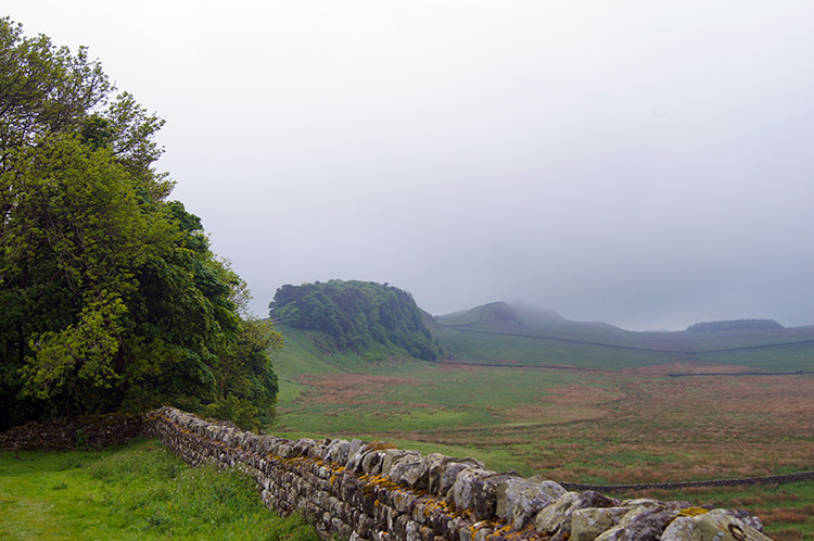 Nearing a small copse at Kennel Crags