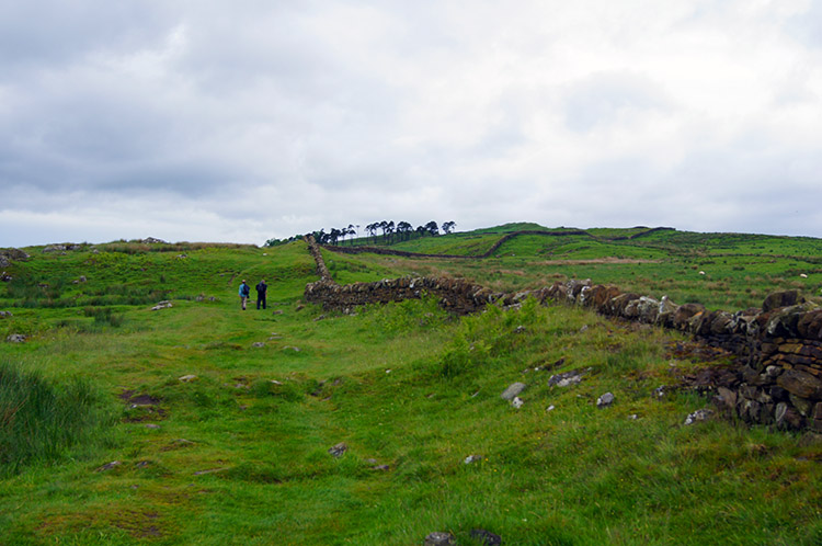 Crossing land near Allolee Rigg